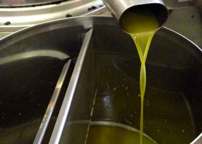 Il nostro olio extravergine